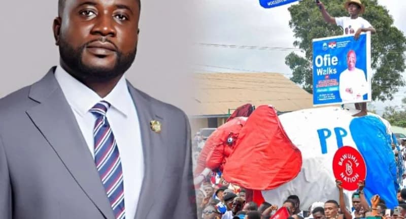 NPP orders parliamentary aspirants to halt campaign activities