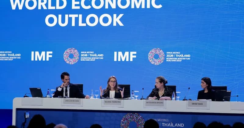 IMF warns of global market risks from AI-driven selloff