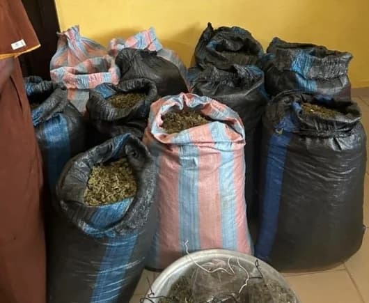 Vincent Lotsu arrested for cultivating cannabis along Volta Lake