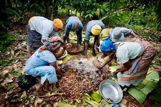 Fairtrade Africa trains women on gender mainstreaming in Ahafo Region