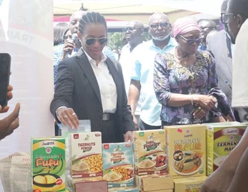 Dr Zanetor Agyeman-Rawlings, Minister of Environment, Science and Technology, having a look at some items at the exhibition. Pictures: BENEDICT OBUOBI