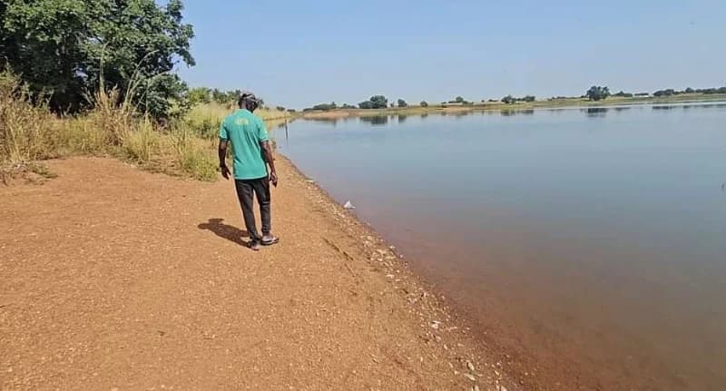 Kusaug residents advised against dam use after mysterious fish deaths